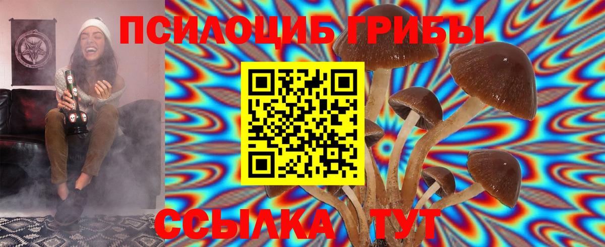 Каменск-Уральский  хочу наркоту  Вход с VPN  Галлюциногенные грибы мицелий  Галлюциногенные грибы Psilocybine cubensis 
