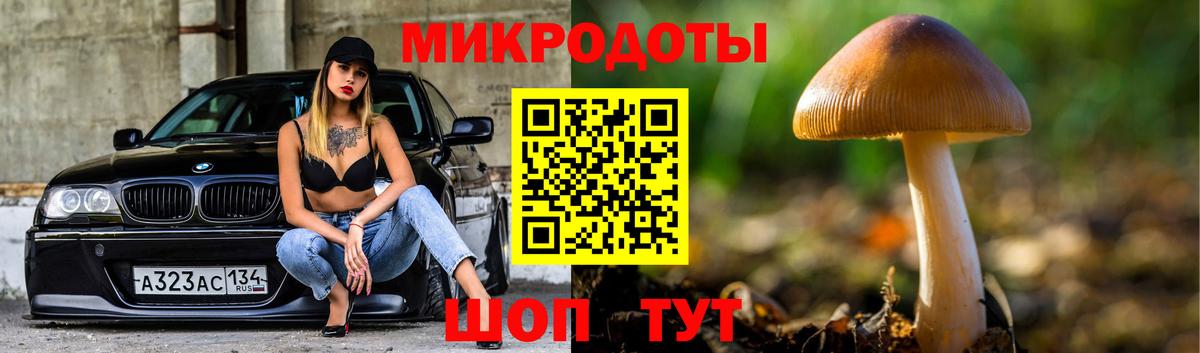 Псилоцибиновые грибы GOLDEN TEACHER Каменск-Уральский